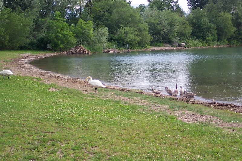 Camping Lindau (20).JPG